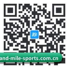 Apple 移动终端版 二维码